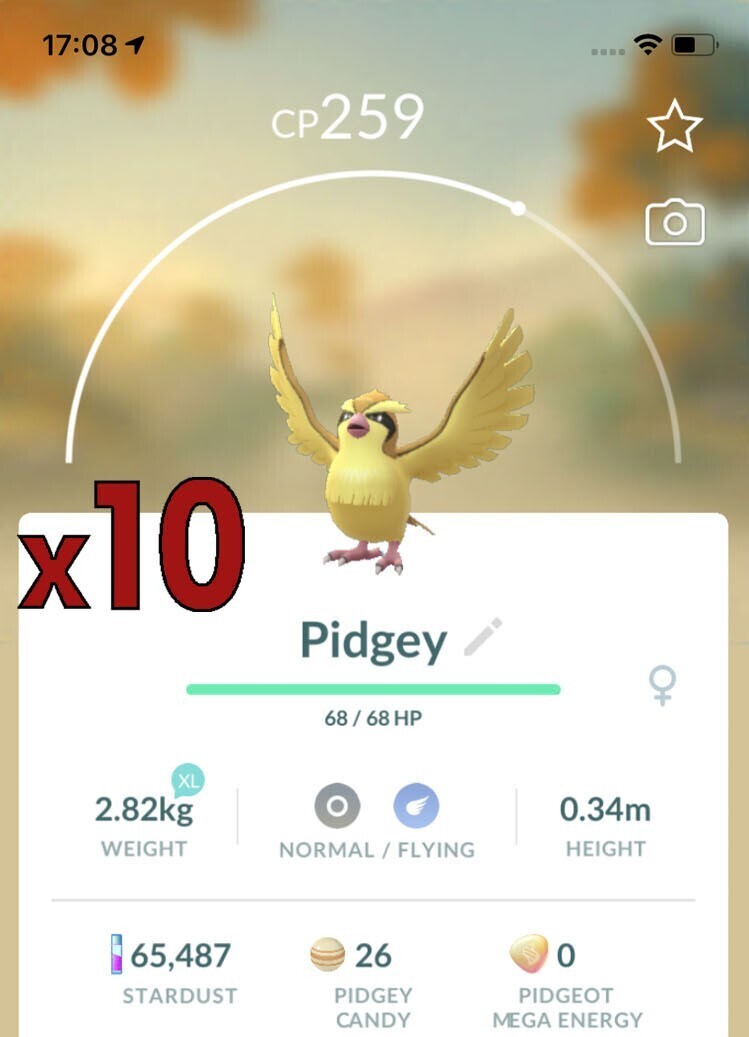 Pidgey Trades [x10] - Pokemon GO Trade