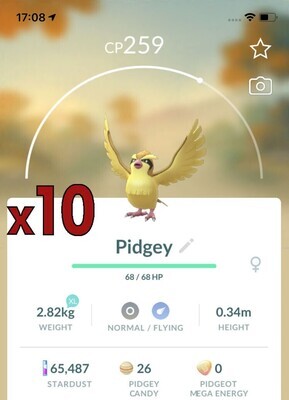 Pidgey Trades [x10] - Pokemon GO Trade