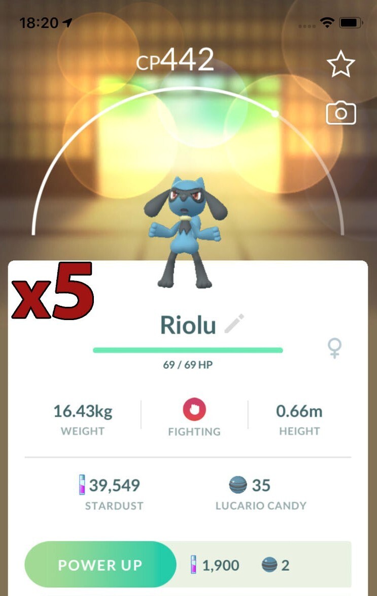 Riolu Trades [x5] - Pokemon GO Trade