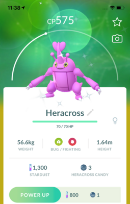 Shiny Heracross Trade - Pokemon GO Trade