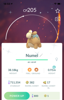 Shiny Numel Trade - Pokemon GO Trade
