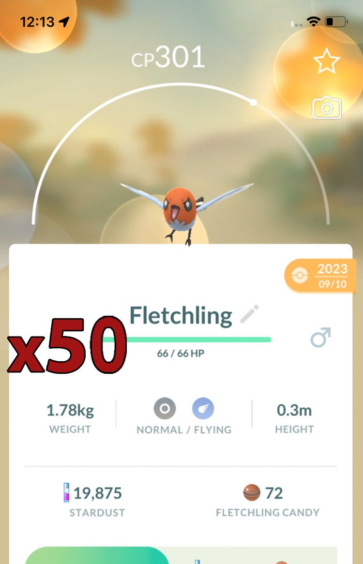 Fletchling [x50] - Pokemon GO Trade Service