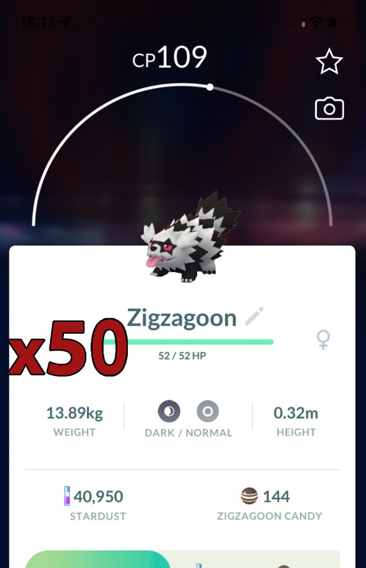Galarian Zigzagoon [x50] - Pokemon GO Trade Service