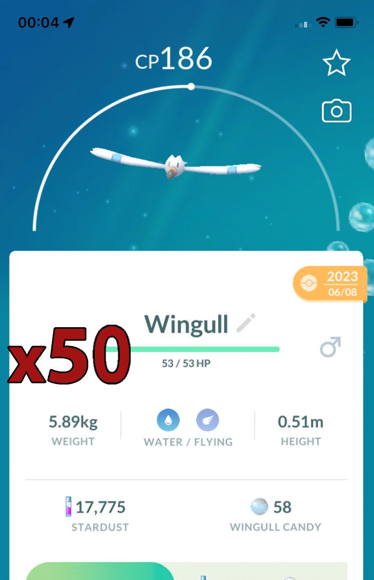 Wingull [x50] - Pokemon GO Trade Service