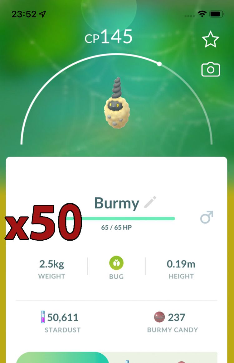 Burmy Sandy Cloak [x50] - Pokemon GO Trade Service