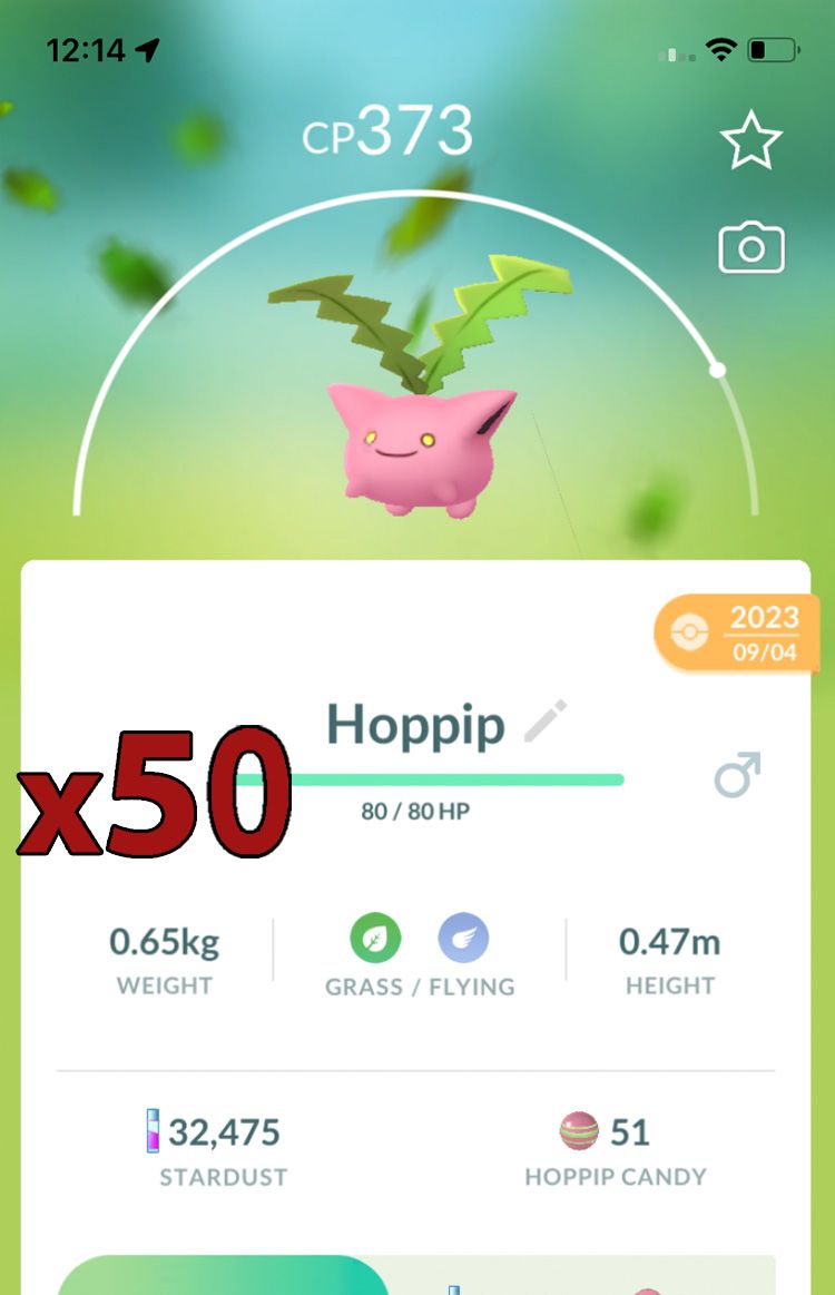 Hoppip [x50] - Pokemon GO Trade Service