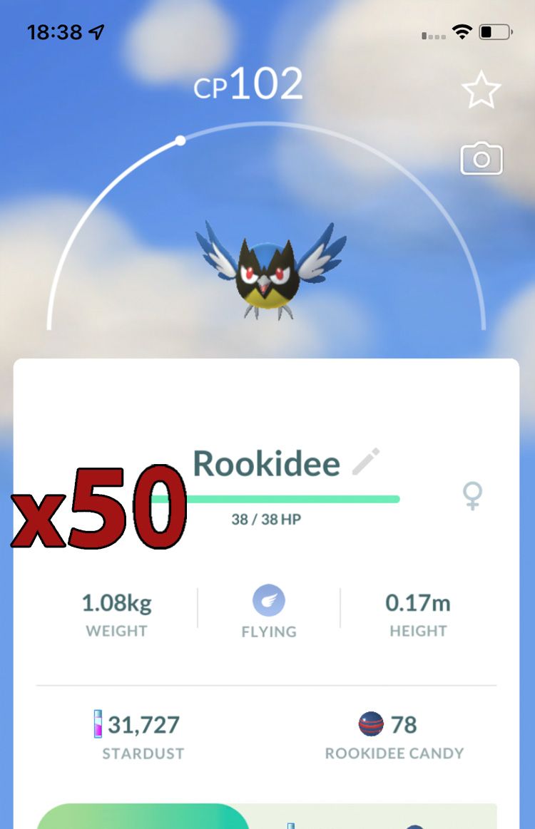 Rookidee [x50] - Pokemon GO Trade Service