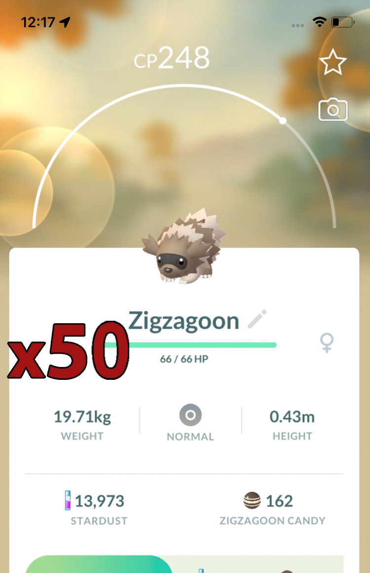 Zigzagoon [x50] - Pokemon GO Trade Service