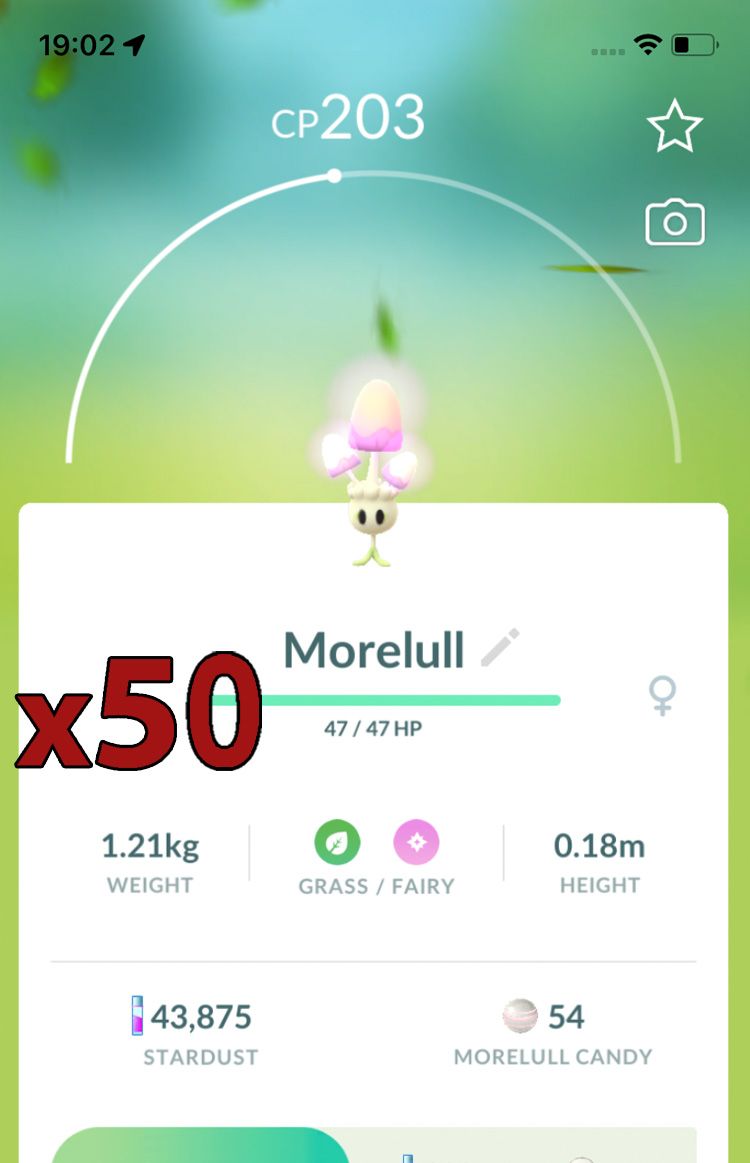 Morelull [x50] - Pokemon GO Trade Service