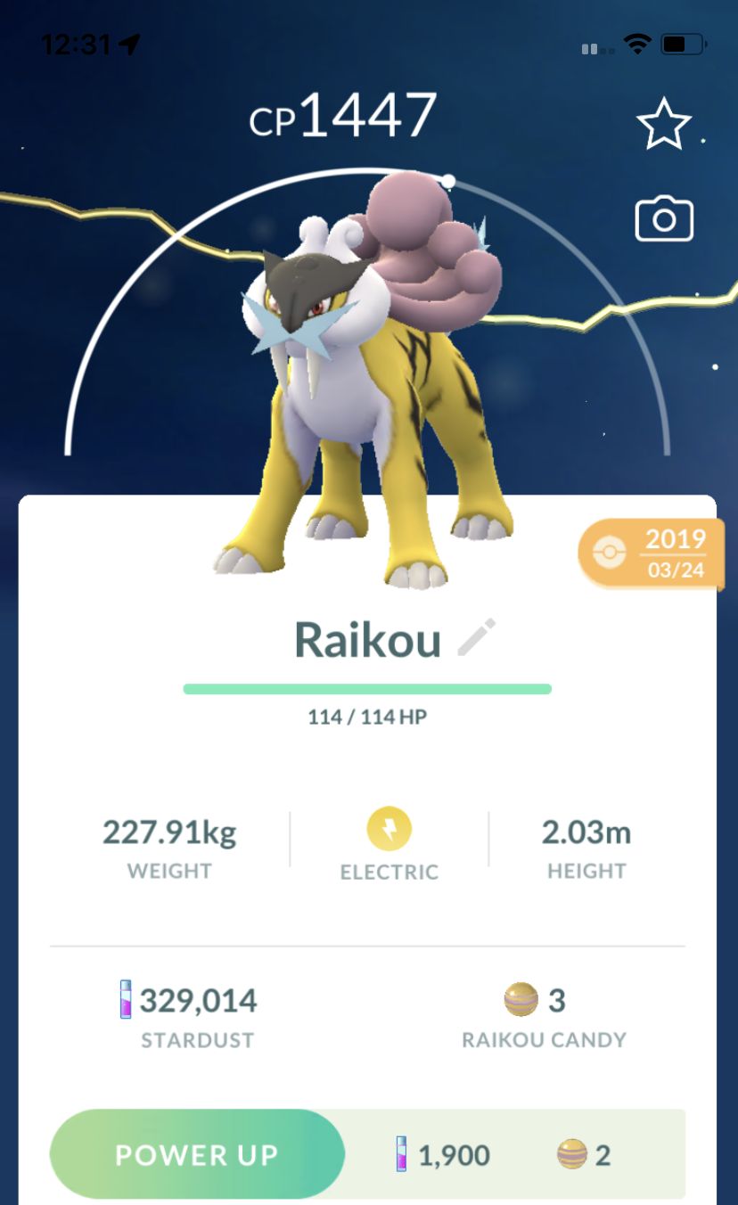 Raikou Lv15 2019 Trade (Guaranteed Lucky) - Pokemon GO Trade