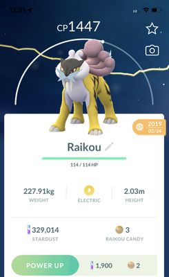 Raikou Lv15 2019 Trade (Guaranteed Lucky) - Pokemon GO Trade