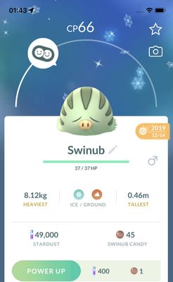 Shiny Swinub 2019 Trade (Guaranteed Lucky) - Pokemon GO Trade