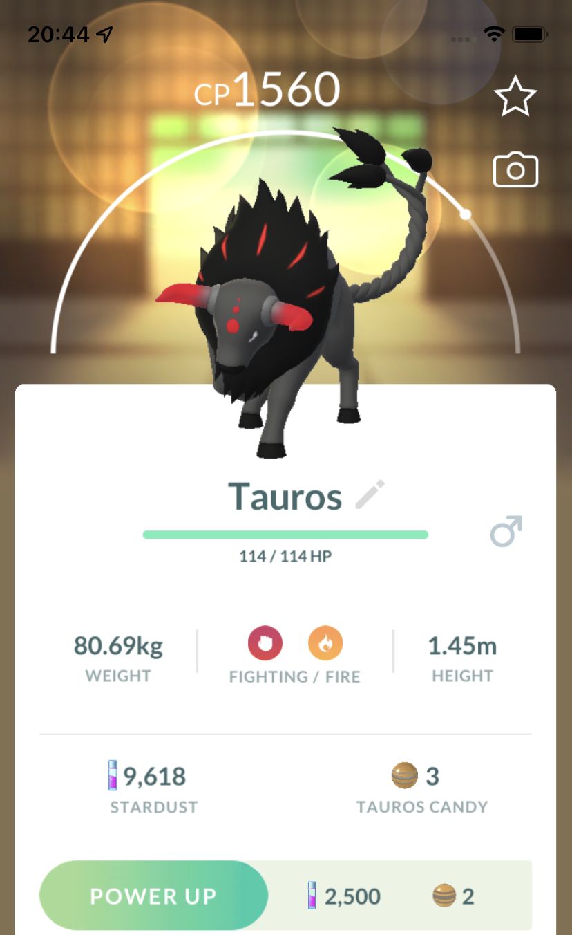 Paldean Tauros Blaze Breed Trade - Pokemon GO Trade