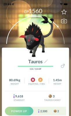 Paldean Tauros Blaze Breed Trade - Pokemon GO Trade