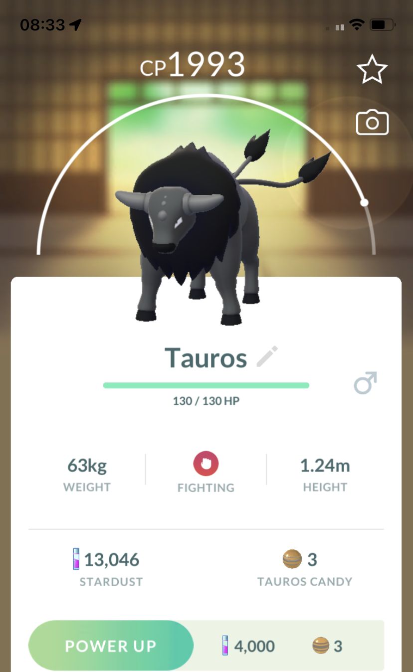 Paldean Tauros Combat Breed Trade - Pokemon GO Trade