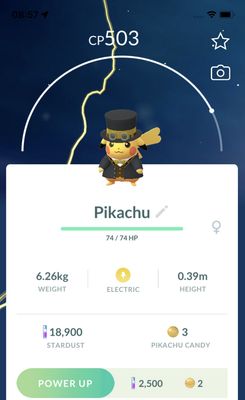 Dapped Pikachu with Yellow Accents Trade - Pokemon GO Trade