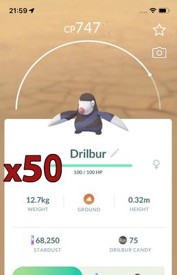 Drilbur [x50] - Pokemon GO Trade