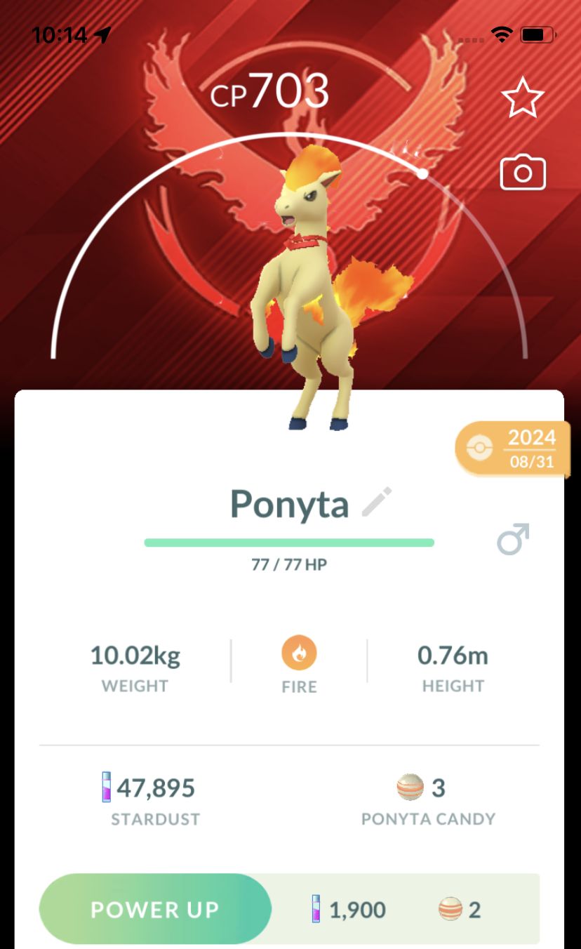 Ponyta with Red Necklace Team Valor Background Trade - Pokemon GO Trade