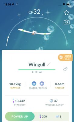 Shiny Wingull 2018 Trade (Guaranteed Lucky) - Pokemon GO Trade