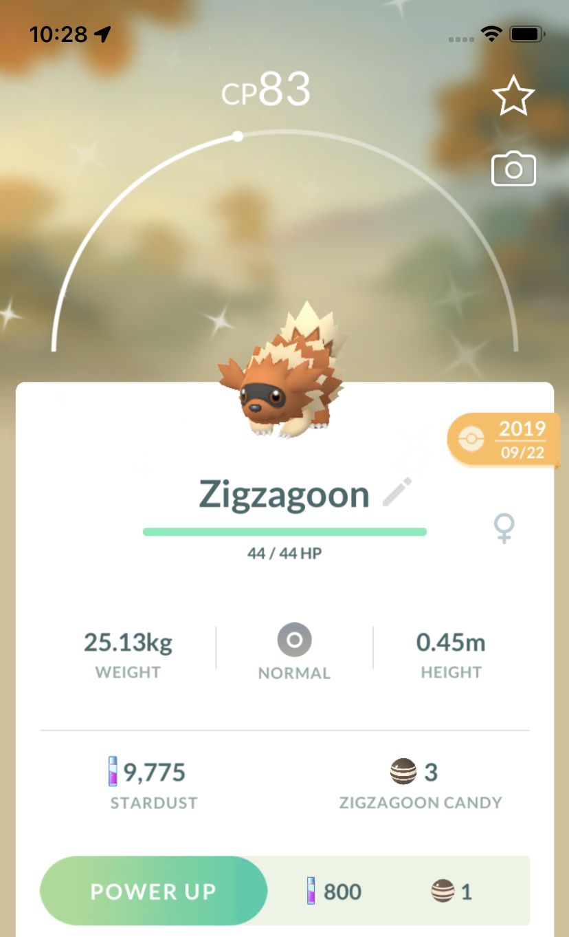 Shiny Zigzagoon 2019 Trade (Guaranteed Lucky) - Pokemon GO Trade