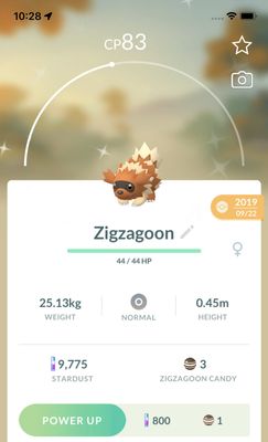Shiny Zigzagoon 2019 Trade (Guaranteed Lucky) - Pokemon GO Trade