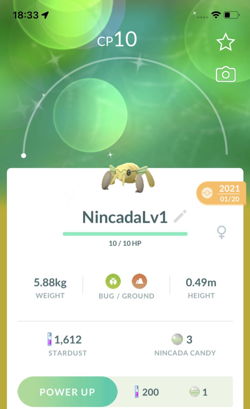 Shiny Nincada Lv1 Trade - Pokemon GO Trade