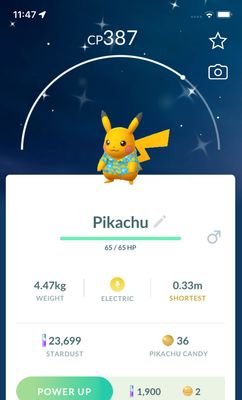 Shiny Pikachu Jeju Island Trade - Pokemon GO Trade