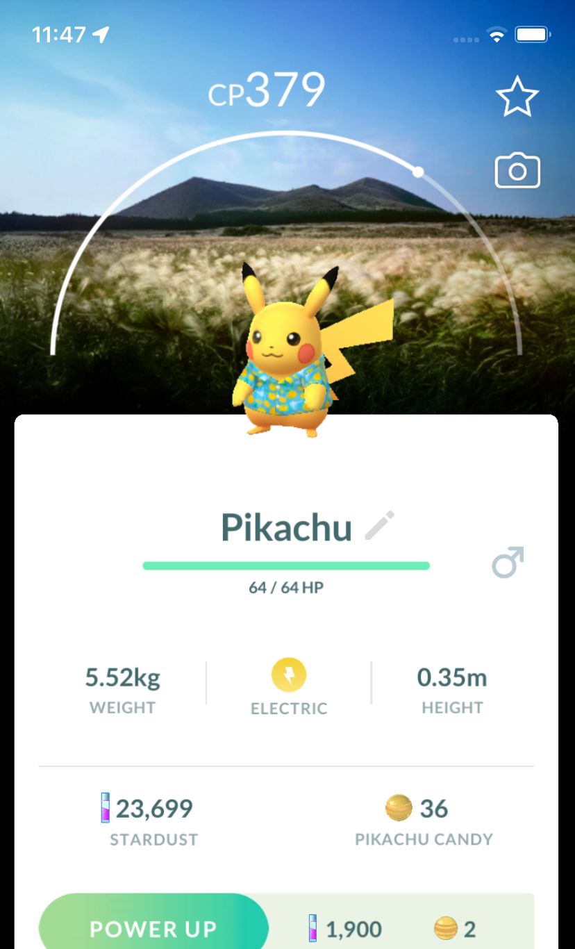 Pikachu Jeju Island with Background Trade - Pokemon GO Trade