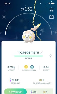 Shiny Togedemaru Trade - Pokemon GO Trade