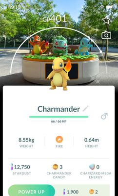Shiny Charmander Osaka Background Trade - Pokemon GO Trade