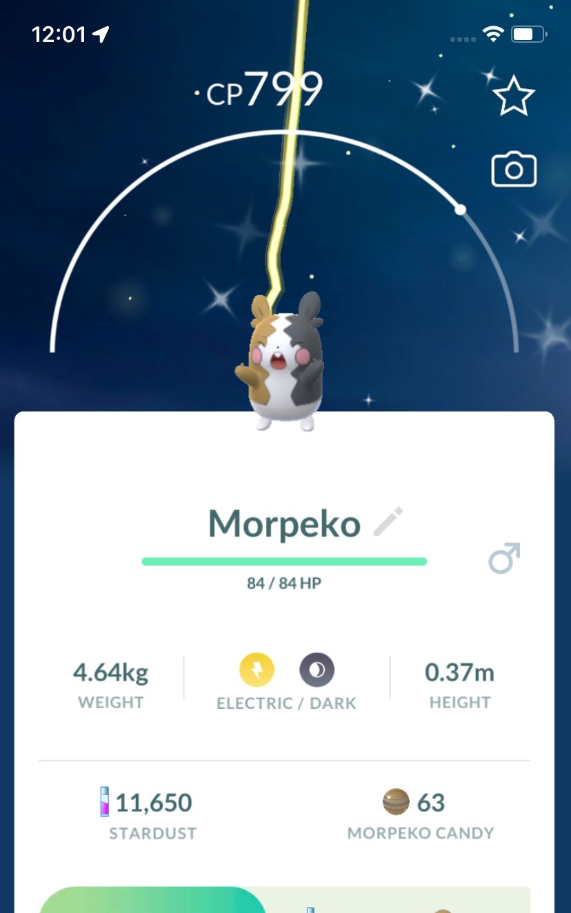Shiny Morpeko Trade - Pokemon GO Trade