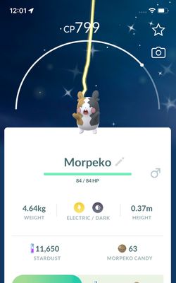 Shiny Morpeko Trade - Pokemon GO Trade