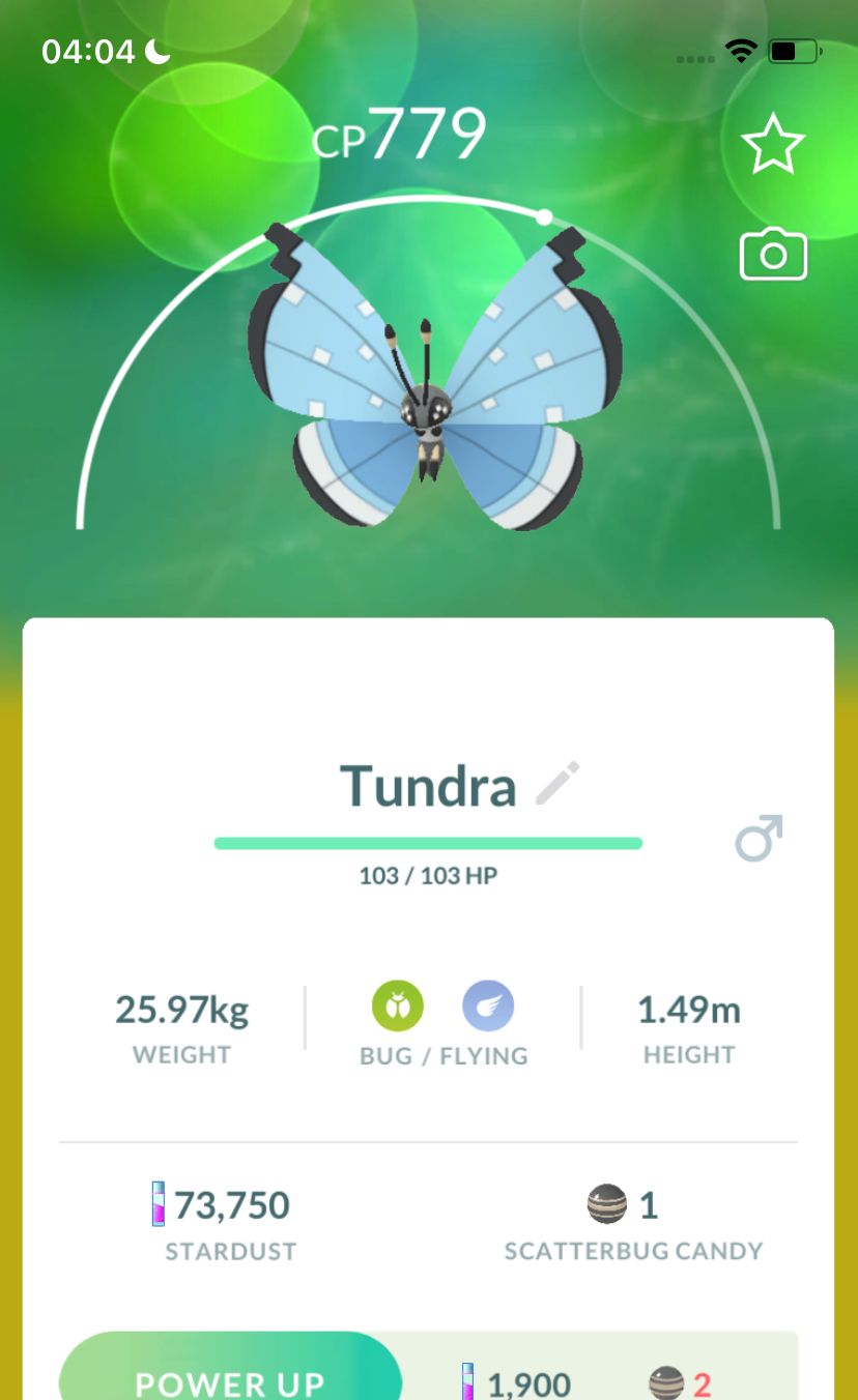 #666 Vivillon Tundra Pattern Trade - Pokemon GO Trade