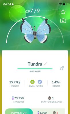 #666 Vivillon Tundra Pattern Trade - Pokemon GO Trade