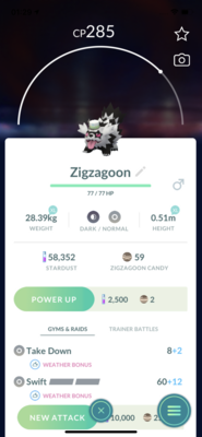 Galarian Zigzagoon GO Fest Trade - Pokemon GO Trade