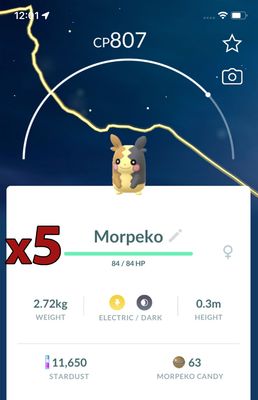 Morpeko Trades [x5] - Pokemon GO Trade
