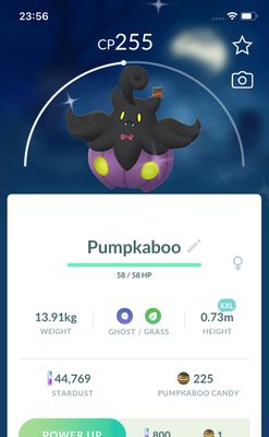 Shiny Pumpkaboo Halloween Costumes (XXL Height) Trade - Pokemon GO Trade