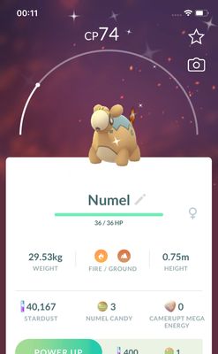 Shiny Numel Trade - Pokemon GO Trade