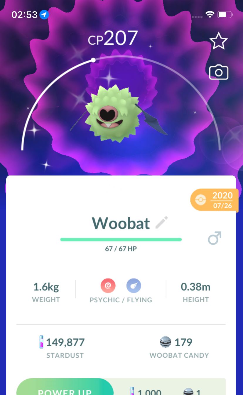 Shiny Woobat 2020 Trade (Guaranteed Lucky) - Pokemon GO Trade