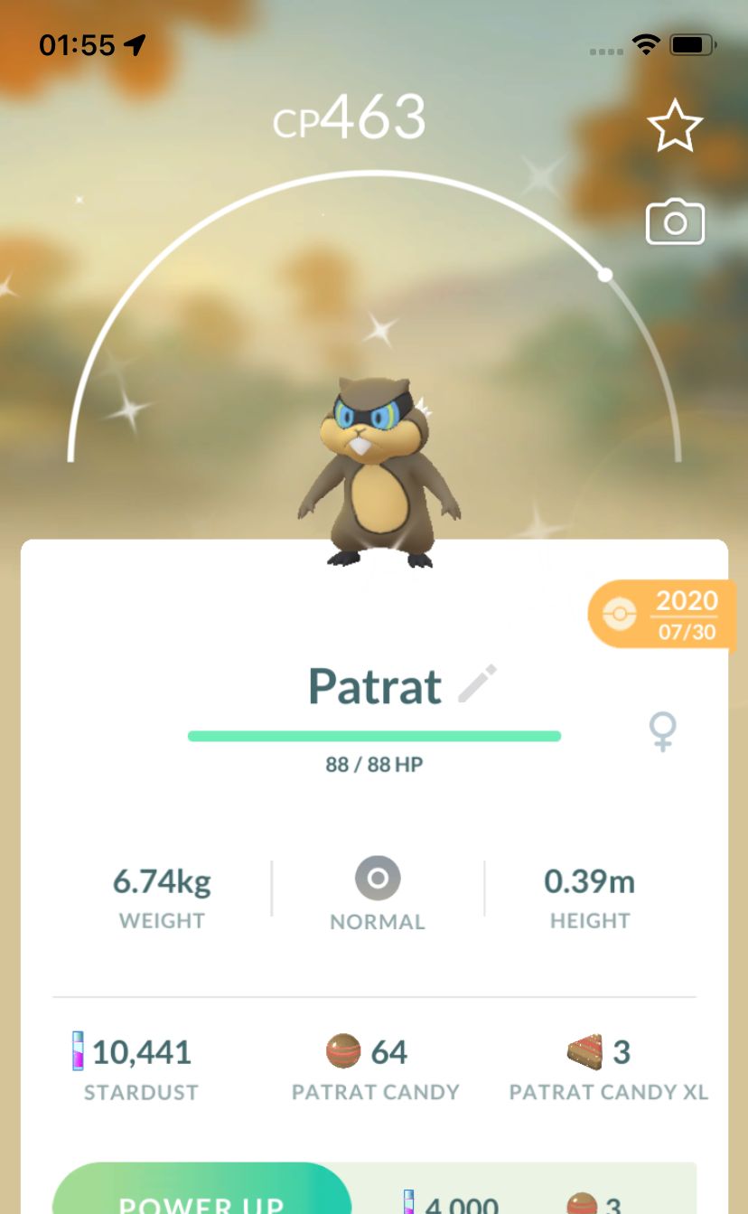 Shiny Patrat 2020 Trade (Guaranteed Lucky) - Pokemon GO Trade
