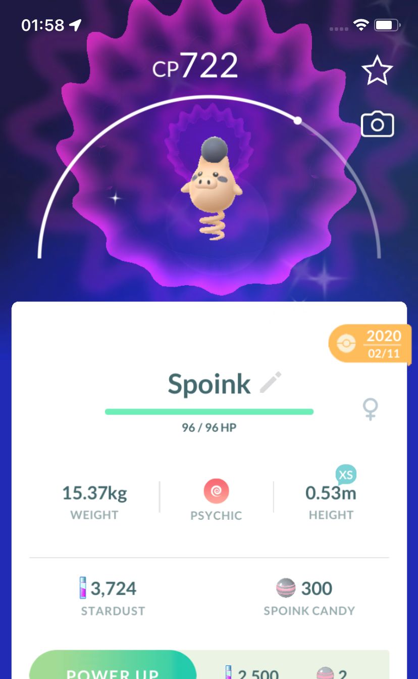 Shiny Spoink 2020 Trade (Guaranteed Lucky) - Pokemon GO Trade