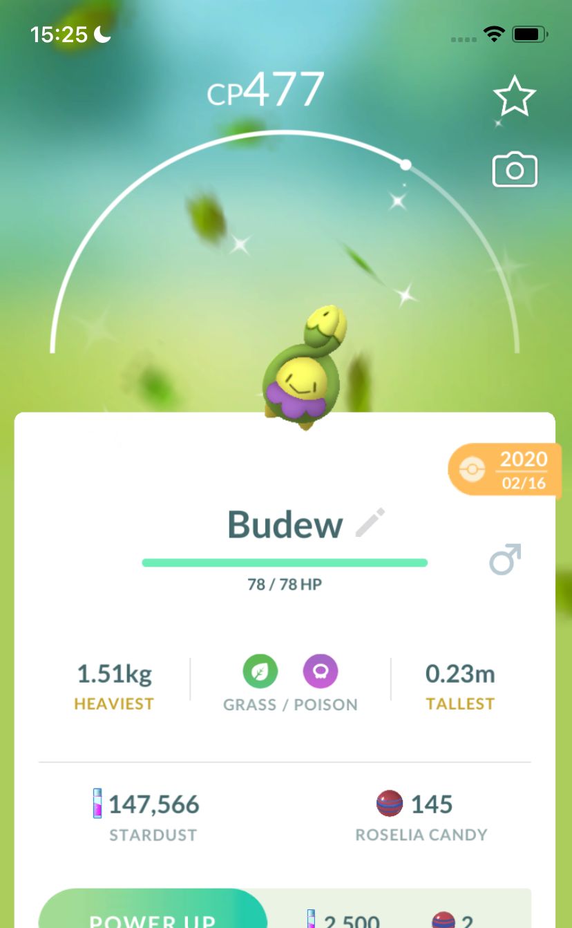 Shiny Budew 2020 Trade (Guaranteed Lucky) - Pokemon GO Trade