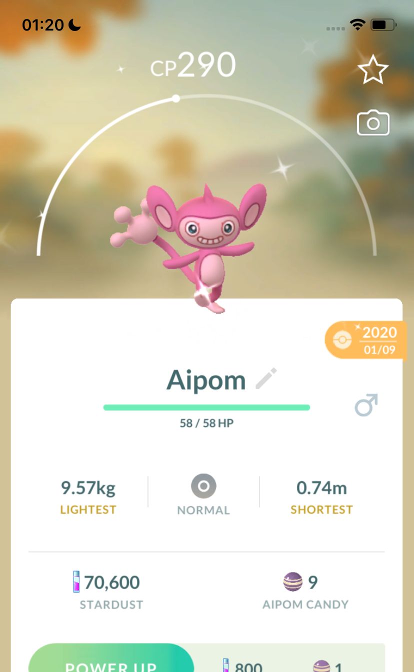 Shiny Aipom 2020 Trade (Guaranteed Lucky) - Pokemon GO Trade