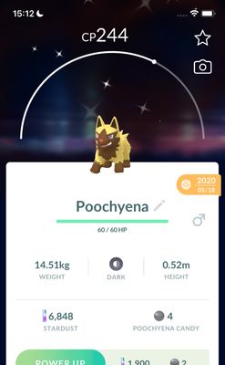 Shiny Poochyena 2020 Trade (Guaranteed Lucky) - Pokemon GO Trade