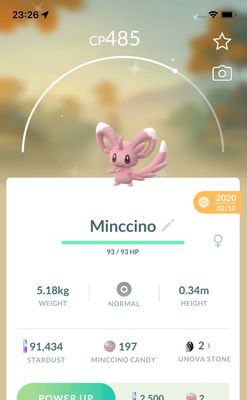 Shiny Minccino 2020 Trade (Guaranteed Lucky) - Pokemon GO Trade