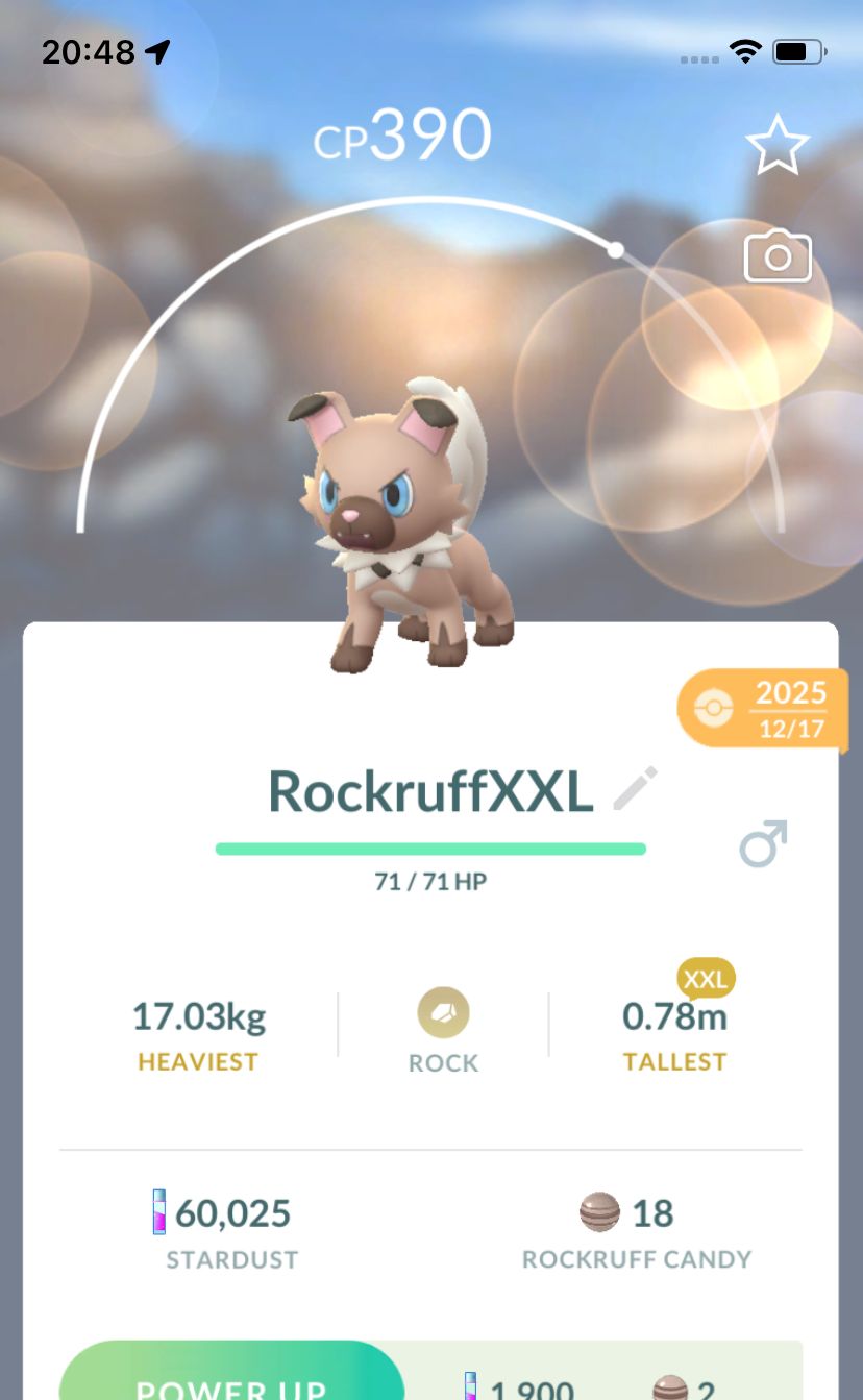 Rockruff (XXL Height) - Pokemon GO Trade Service