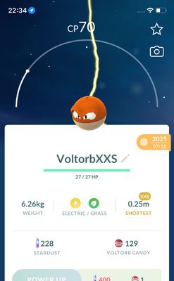 Hisuian Voltorb (XXS Height) - Pokemon GO Trade Service
