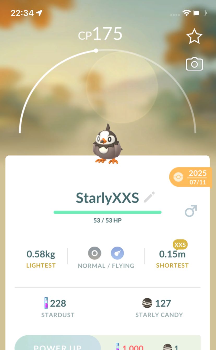 Starly (XXS Height) - Pokemon GO Trade Service