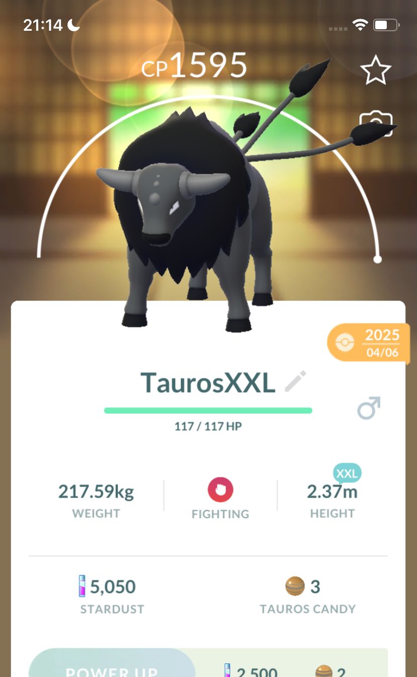 Paldean Tauros Combat Breed Trade (XXL Height) - Pokemon GO Trade