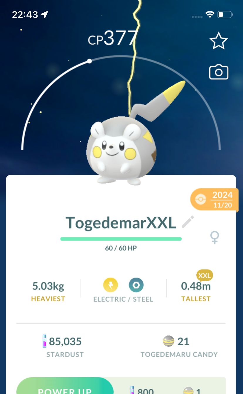 Togedemaru (XXL Height) - Pokemon GO Trade Service